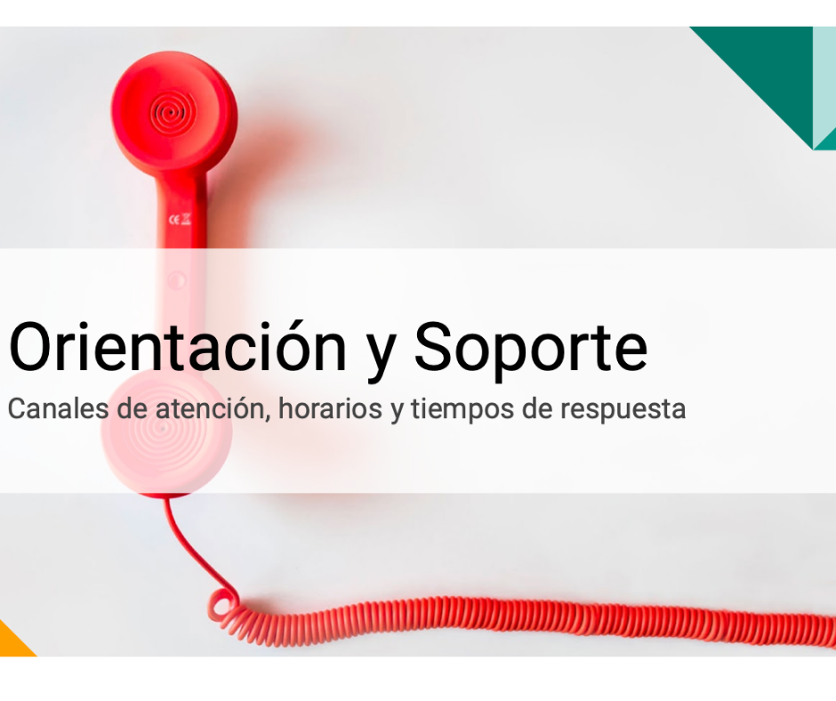 boleta electrónica con soporte continuo